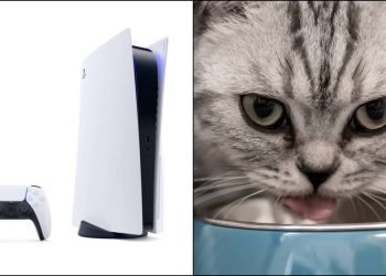 PlayStation 5, PS5, PlayStation 5 Cat food, PS5 Cat food