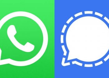 WhatsApp Signal, WhatsApp vs Signal, WhatsApp, Signal