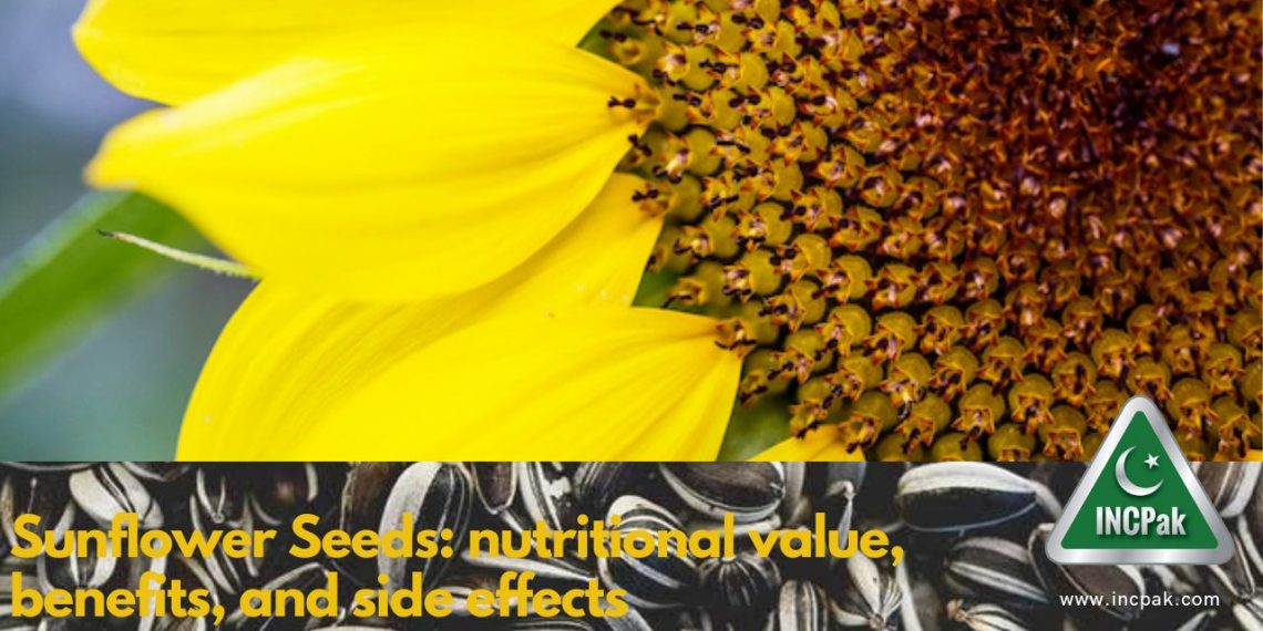 Sunflower Seeds: nutritional value, benefits, and side effects