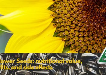 Sunflower Seeds: nutritional value, benefits, and side effects