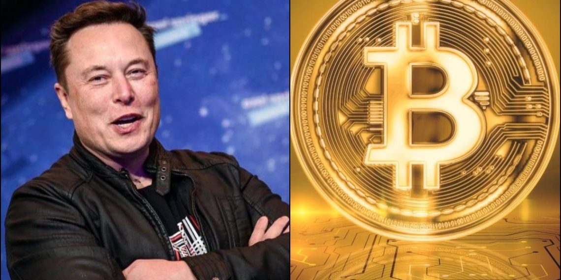 Bitcoin price, Tesla, Elon Musk