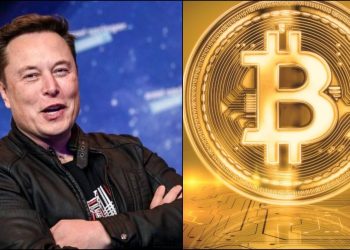 Bitcoin price, Tesla, Elon Musk