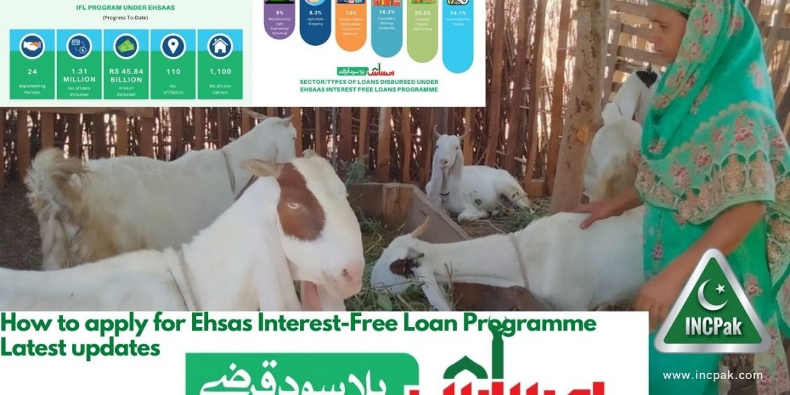 How to apply for Ehsas Interest-Free Loan Programme Latest updates