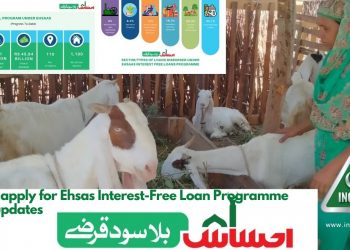 How to apply for Ehsas Interest-Free Loan Programme Latest updates