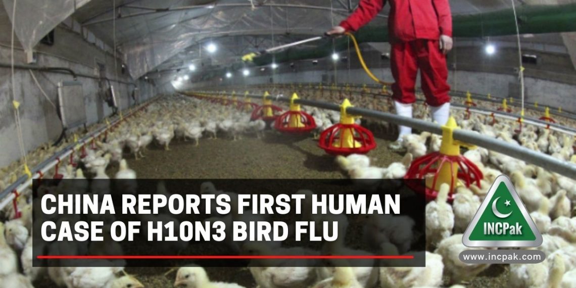 China Bird Flu, H10N3, H10N3 Bird Flu