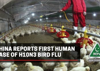 China Bird Flu, H10N3, H10N3 Bird Flu