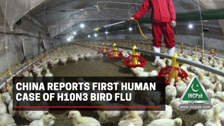 China Bird Flu, H10N3, H10N3 Bird Flu