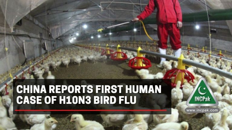 China reports first human case of H10N3 bird flu - INCPak