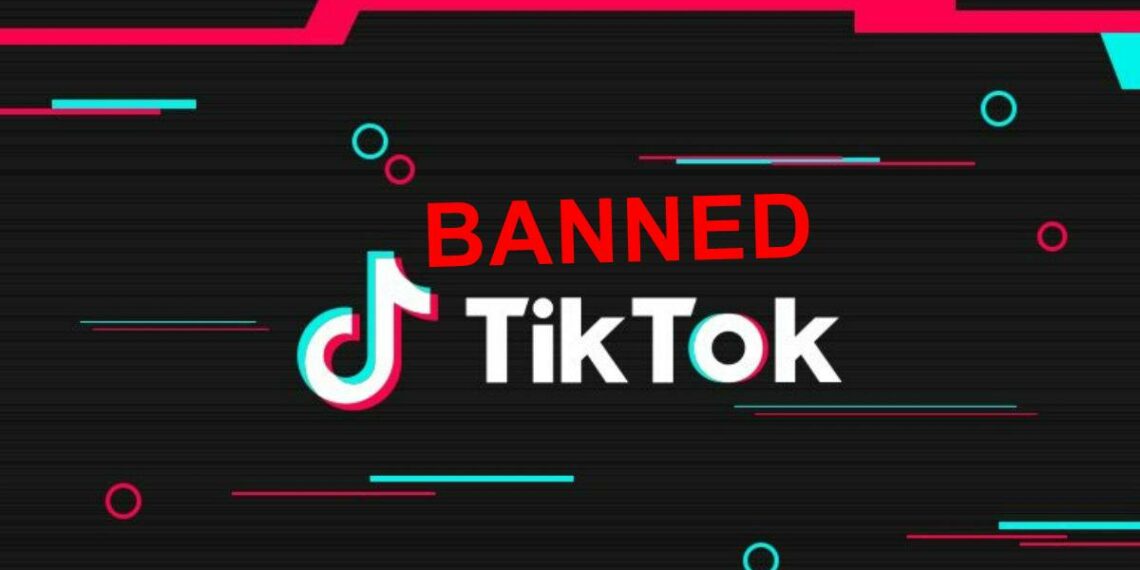 TikTok Ban, TikTok