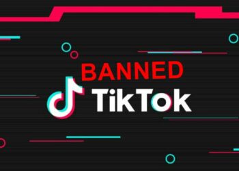 TikTok Ban, TikTok