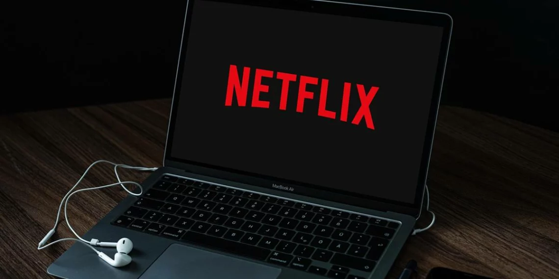 Netflix Category Hub, Netflix