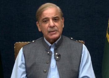 Relief Package, Shehbaz Sharif, Prime Minister Shehbaz Sharif