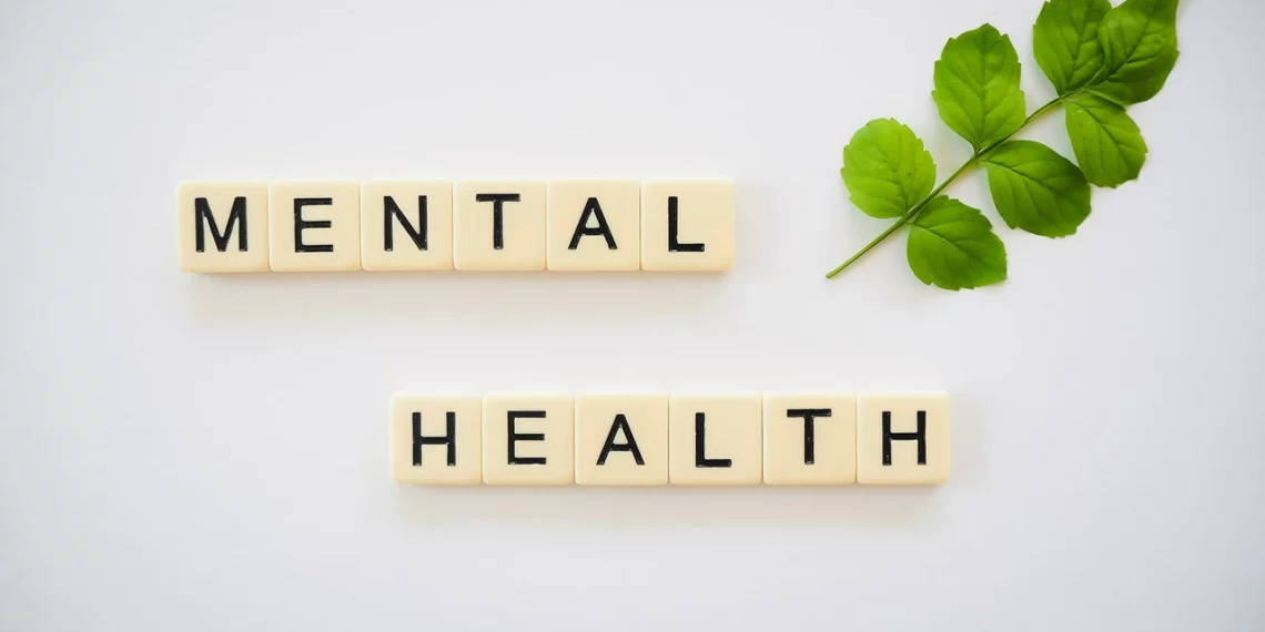 School Mental Health in the United States: What Are the Options