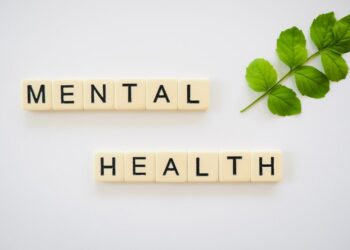 School Mental Health in the United States: What Are the Options