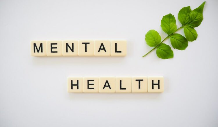 School Mental Health in the United States: What Are the Options