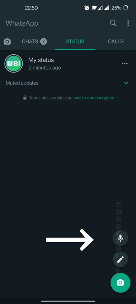 WhatsApp, WhatsApp Voice Status, Voice Status