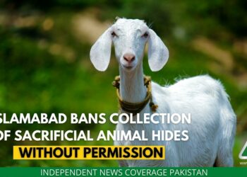 Animal Hides, Sacrificial Animals, Eid ul Azha 2022, Islamabad