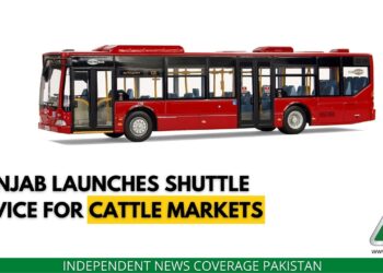 Shuttle Service Cattle Market, Punjab Shuttle Service, Cattle Markets