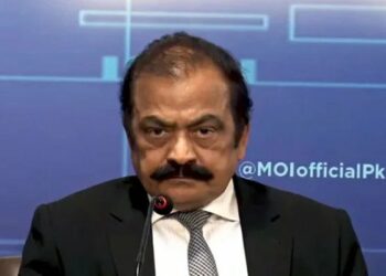 Rana Sanaullah, CNIC, Passports