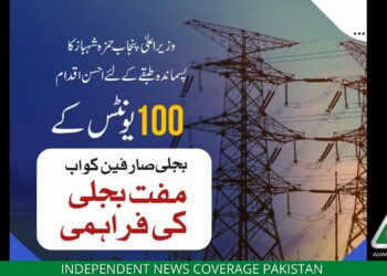 Punjab Free Electricity, Punjab 100 Units, Free Solar Panels, Free Solar Plates