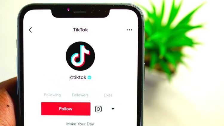 TikTok Creator Portal, TikTok Creator Portal Pakistan