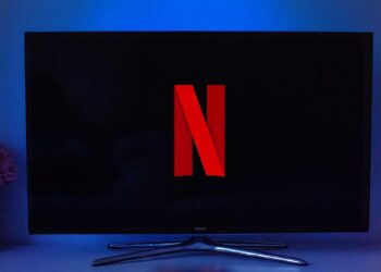 Netflix Profile Transfer, Netflix