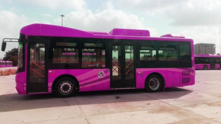 Pink Bus Service, Pink Bus Service in Karachi, Karachi Pink Bus Service