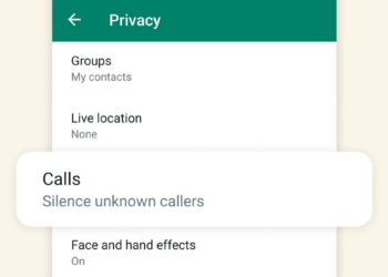 WhatsApp Silence Calls, WhatsApp Calls, WhatsApp, WhatsApp Unknown Numbers