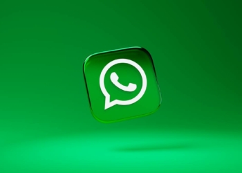 WhatsApp New Feature, WhatsApp, WhatsApp Group Members