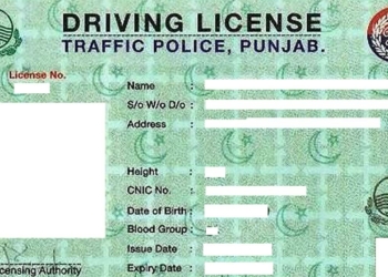 Punjab E Driving License, E Driving License, Punjab Driving License