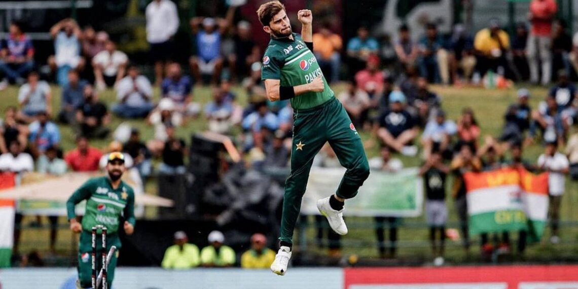 Shaheen Shah Afridi