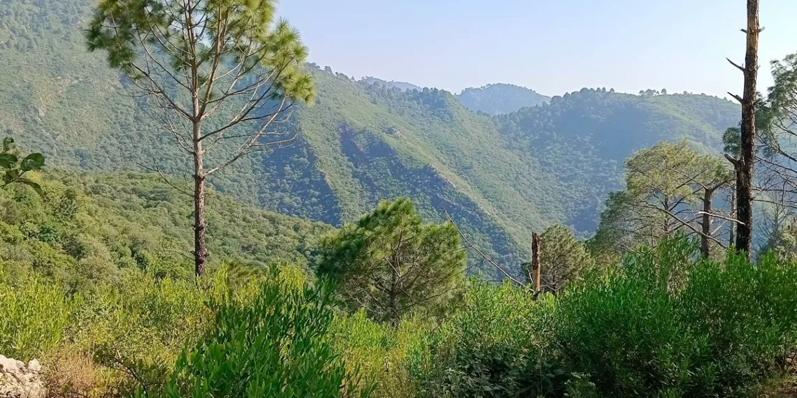 Margalla Hills, Margalla Hills Fee, Margalla Hills Hiking Fee, Margalla Hills Trekking Fee, Margallah Hills Charge