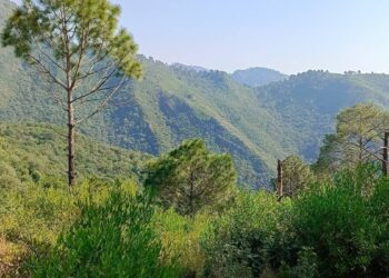 Margalla Hills, Margalla Hills Fee, Margalla Hills Hiking Fee, Margalla Hills Trekking Fee, Margallah Hills Charge