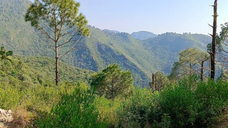 Margalla Hills, Margalla Hills Fee, Margalla Hills Hiking Fee, Margalla Hills Trekking Fee, Margallah Hills Charge