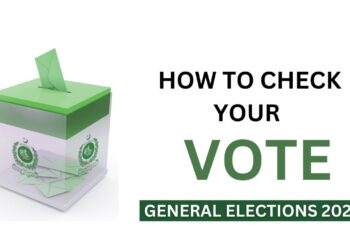 Check Vote, Verify Vote, SMS 8300, General Election 2024