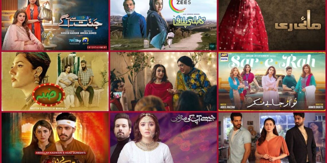 Top Pakistani Dramas, Top Dramas in Pakistan, Top Pakistani Dramas 2024, Top Dramas in Pakistan 2024