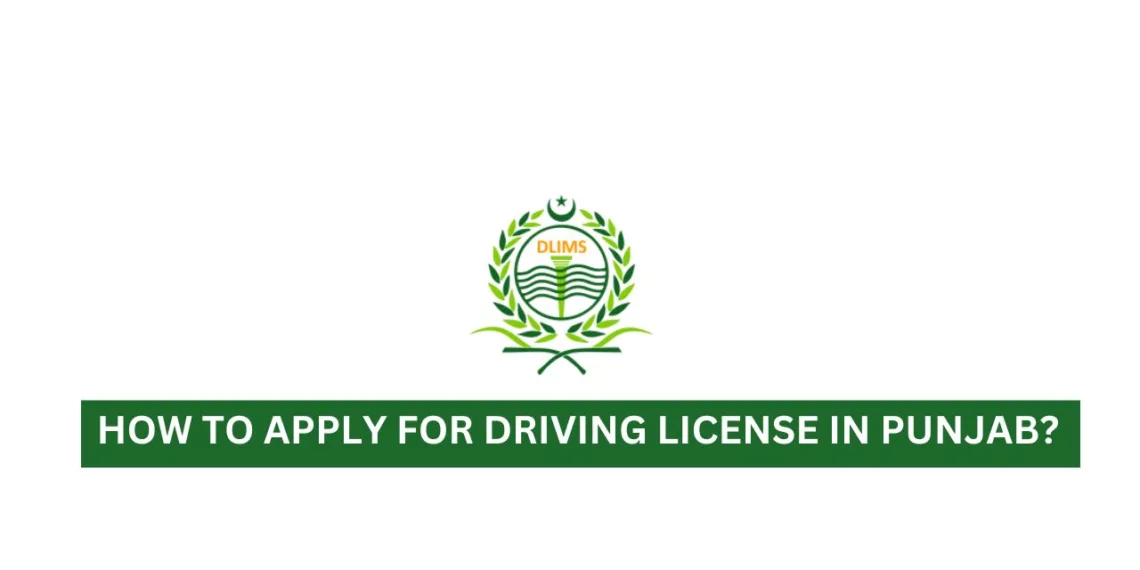 Driving License Punjab, Punjab Driving License, How to Apply for Driving License in Punjab