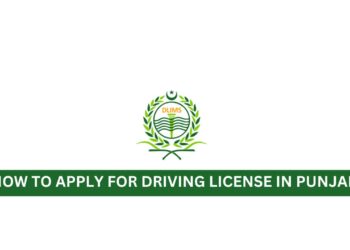 Driving License Punjab, Punjab Driving License, How to Apply for Driving License in Punjab