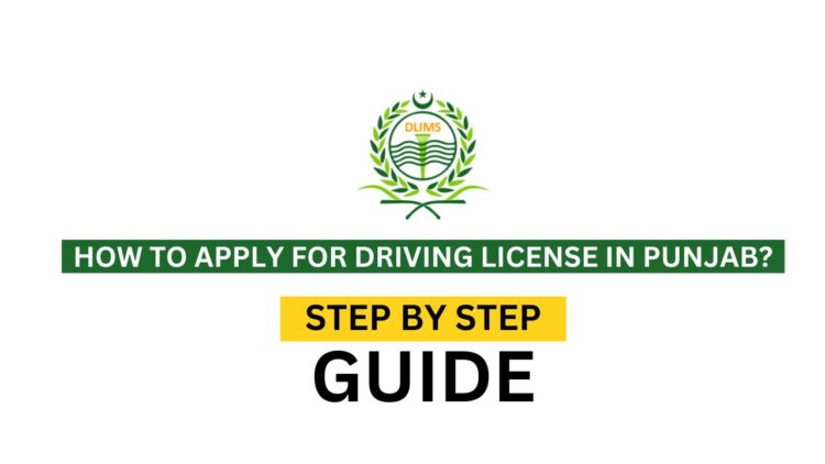 How to Apply for Learner Driving License Online, Apply for Learner Driving License Online, Learner Driving License Online, Punjab Learner Driving License, Punjab Driving License