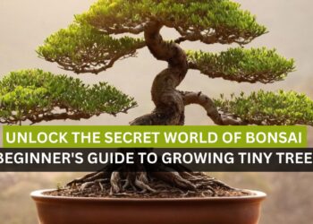 Unlock the Secret World of Bonsai: A Beginner's Guide to Growing Tiny Trees