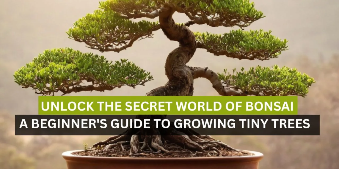 Unlock the Secret World of Bonsai: A Beginner's Guide to Growing Tiny Trees