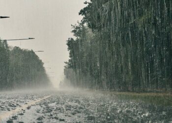 Karachi Weather: PMD Forecasts Rain This Week