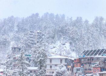 Murree entrance closed due to heavy snowfall