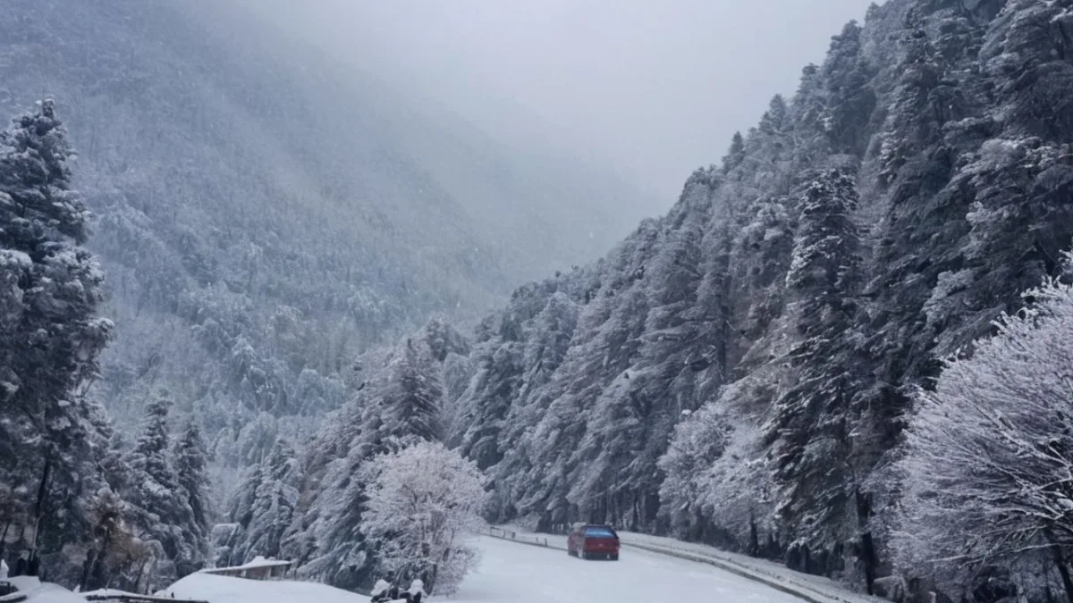 More rain and snowfall expected in muree galiyat region: pmd