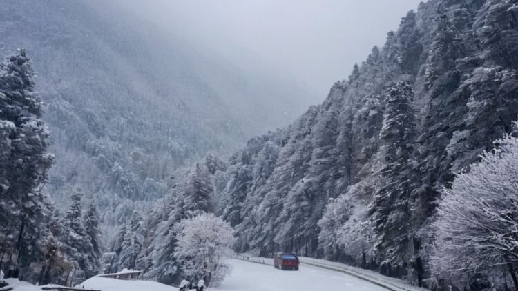 More Rain and snowfall expected in Muree Galiyat Region: PMD