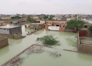 PM Shehbaz Announces Relief Package for Rain-Hit Gwadar