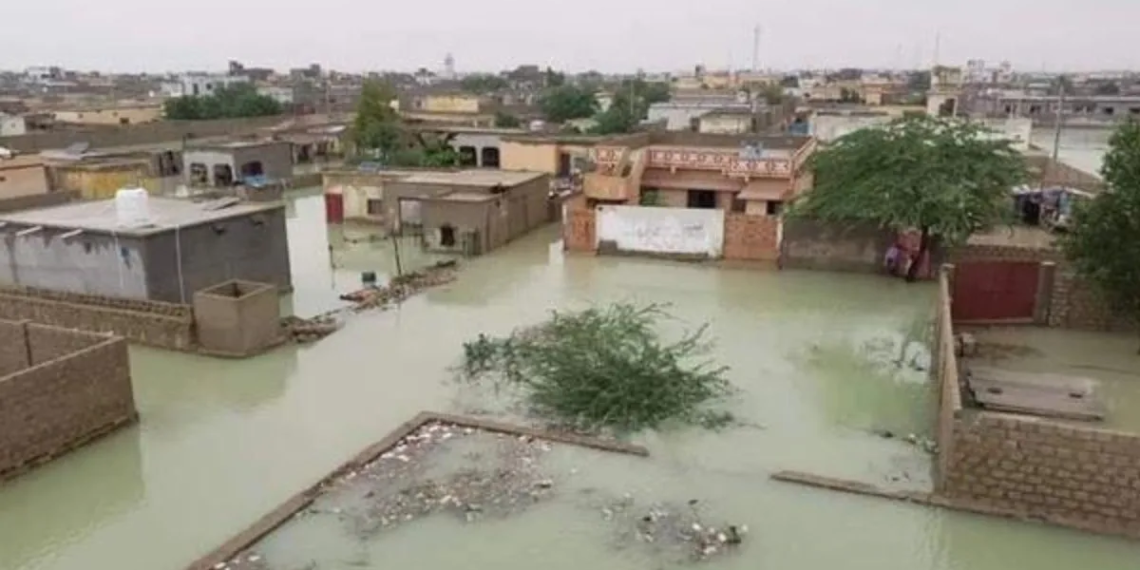 PM Shehbaz Announces Relief Package for Rain-Hit Gwadar