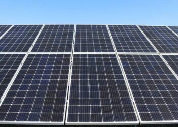 Sindh Govt Announces Interest-Free Solar System Loans