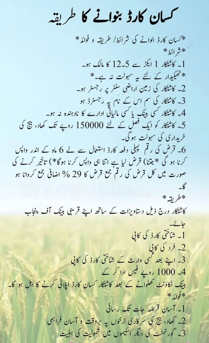 Kissan card in punjab