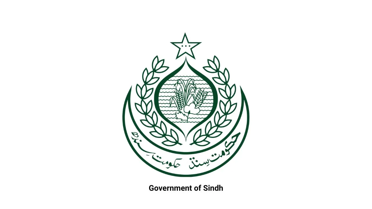 Sindh Govt Follows Punjab's footsteps: Launches Air Ambulance Service